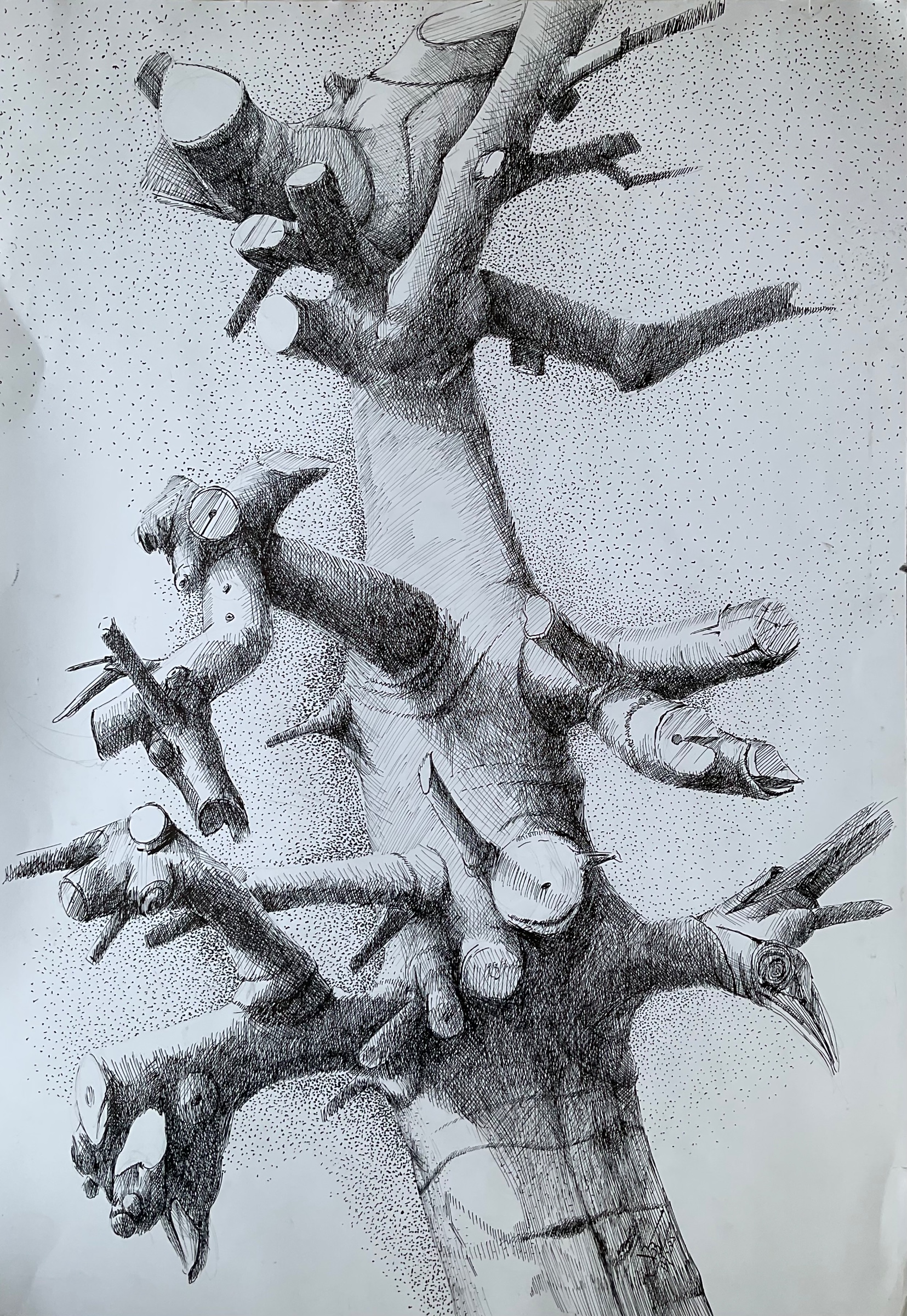 Nature Study by Masood