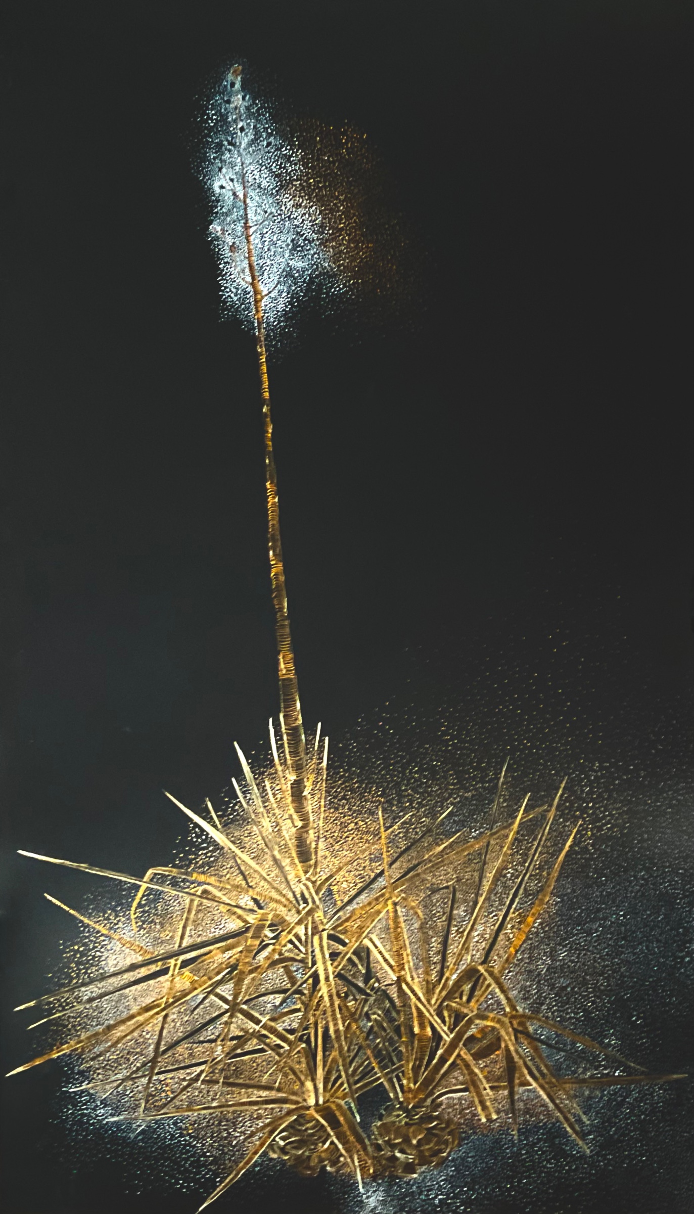 Botanical Study iii by Masood