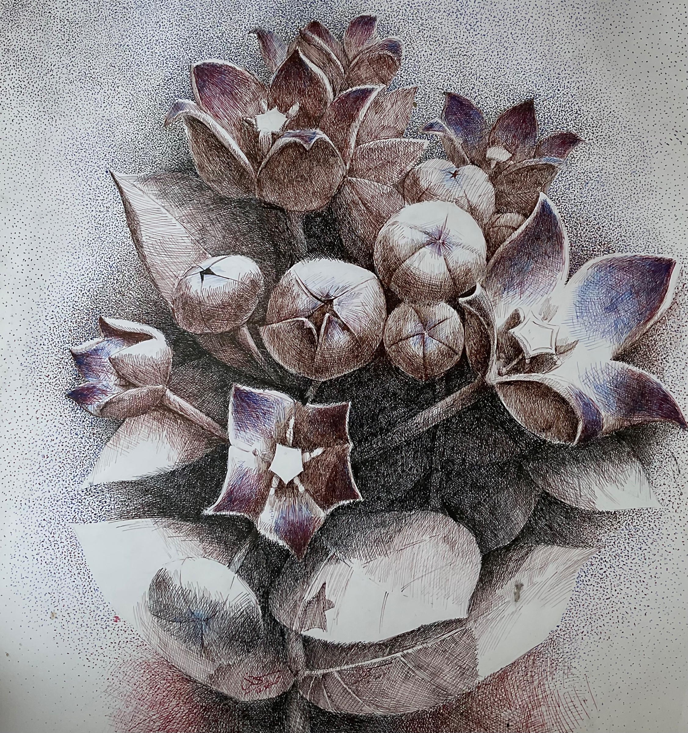 Giant Milk Weed (Botanical study) by Masood