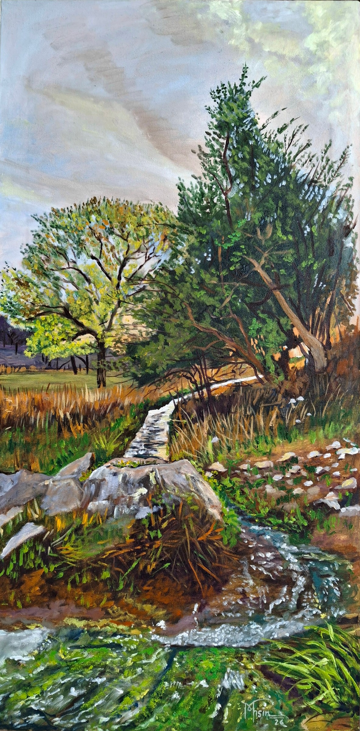 A Quiet Bend in the Stream by Mohsin