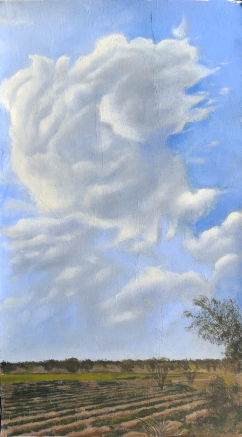 cumulus over Fields by Mustabshirah Shah