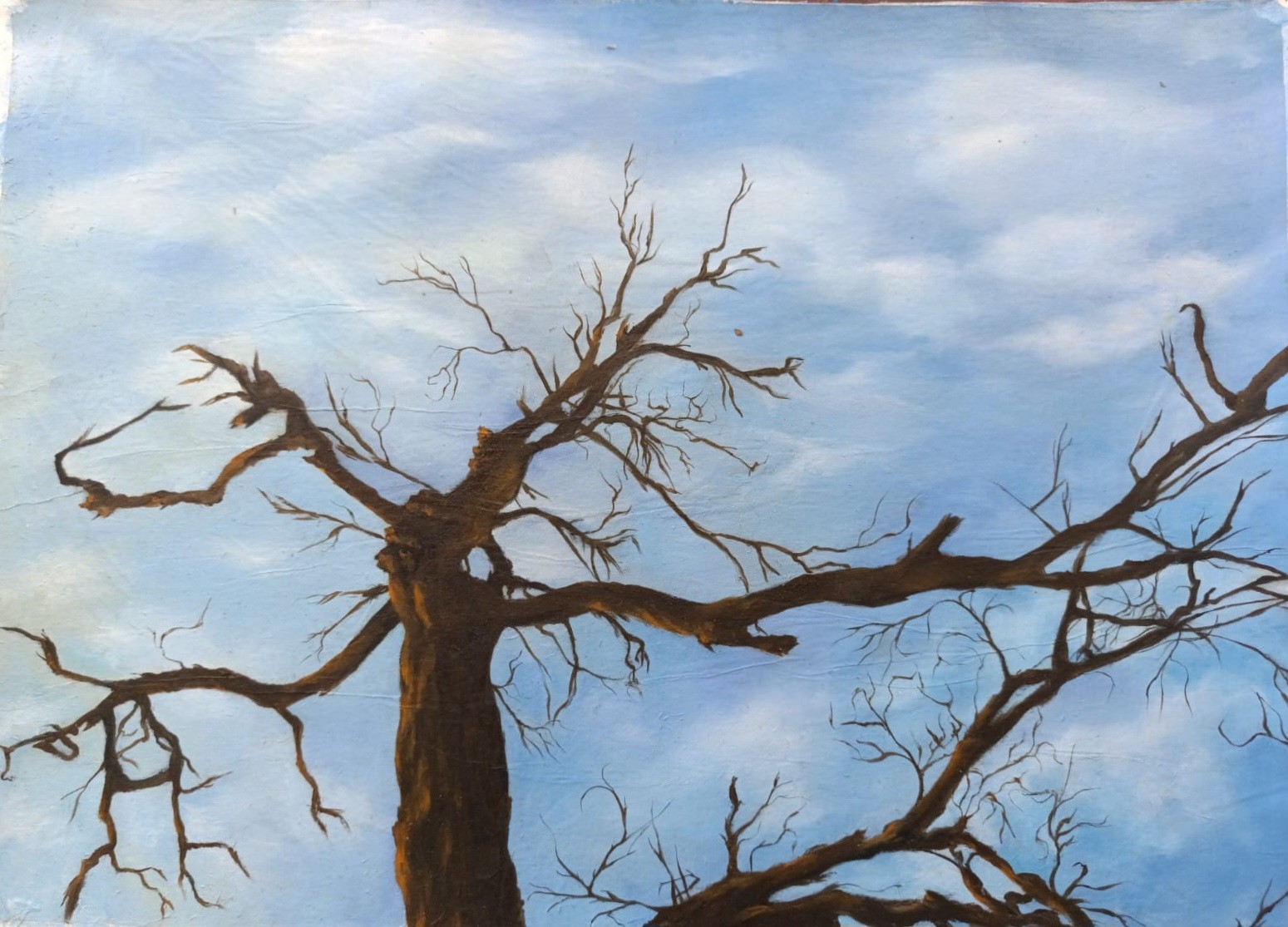 Bare Branches by Mustabshirah Shah