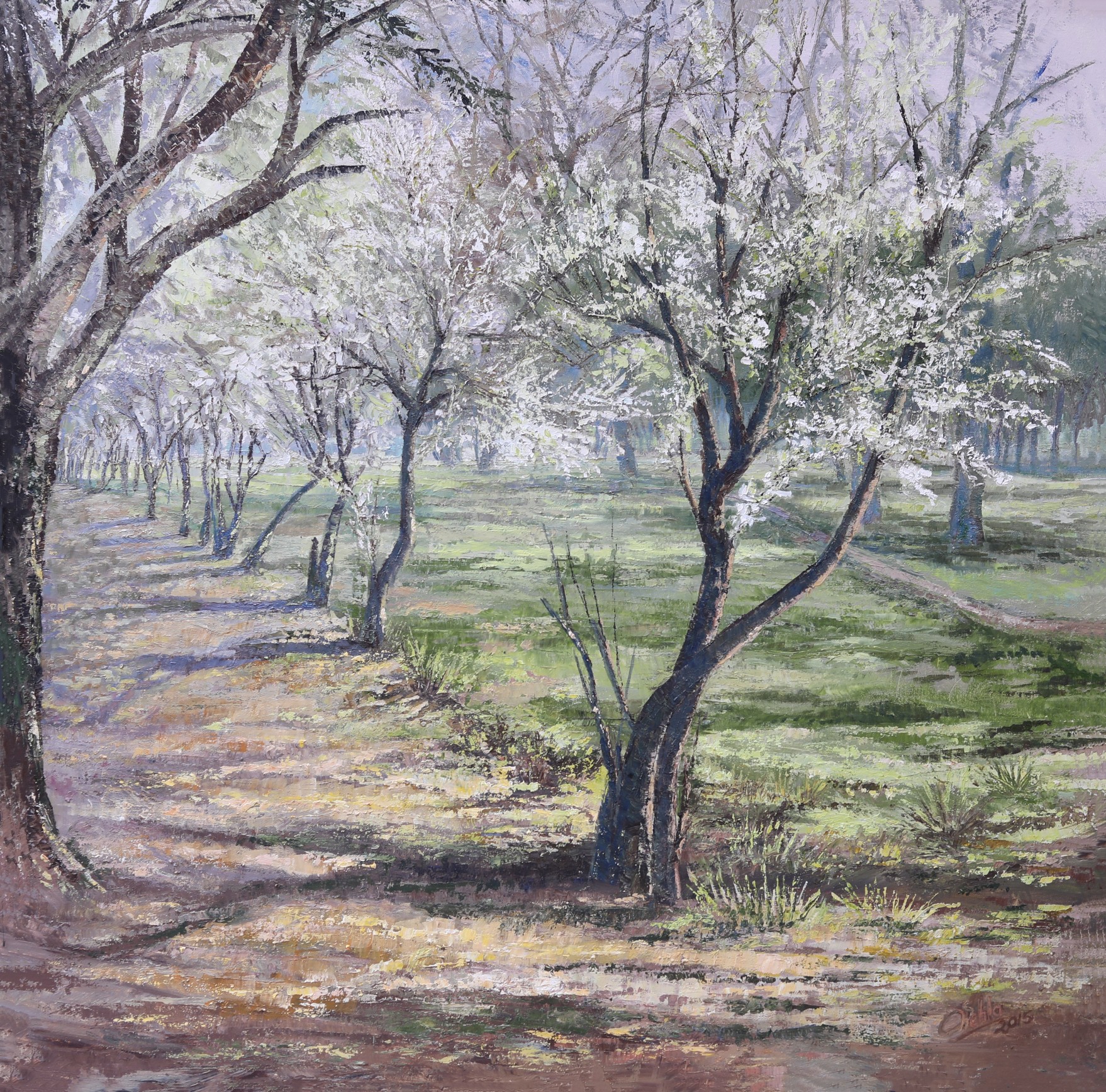 Plum Blossoms, Liberty Park Lahore by Shehla Farooq