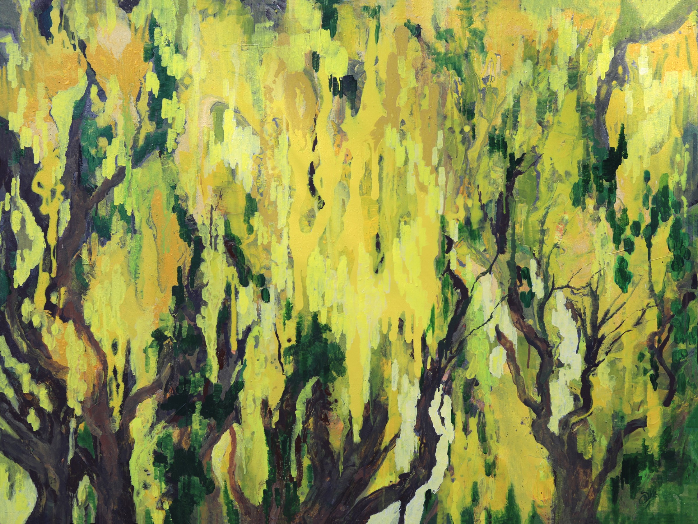 Amaltas (Labernum) by Shehla Farooq