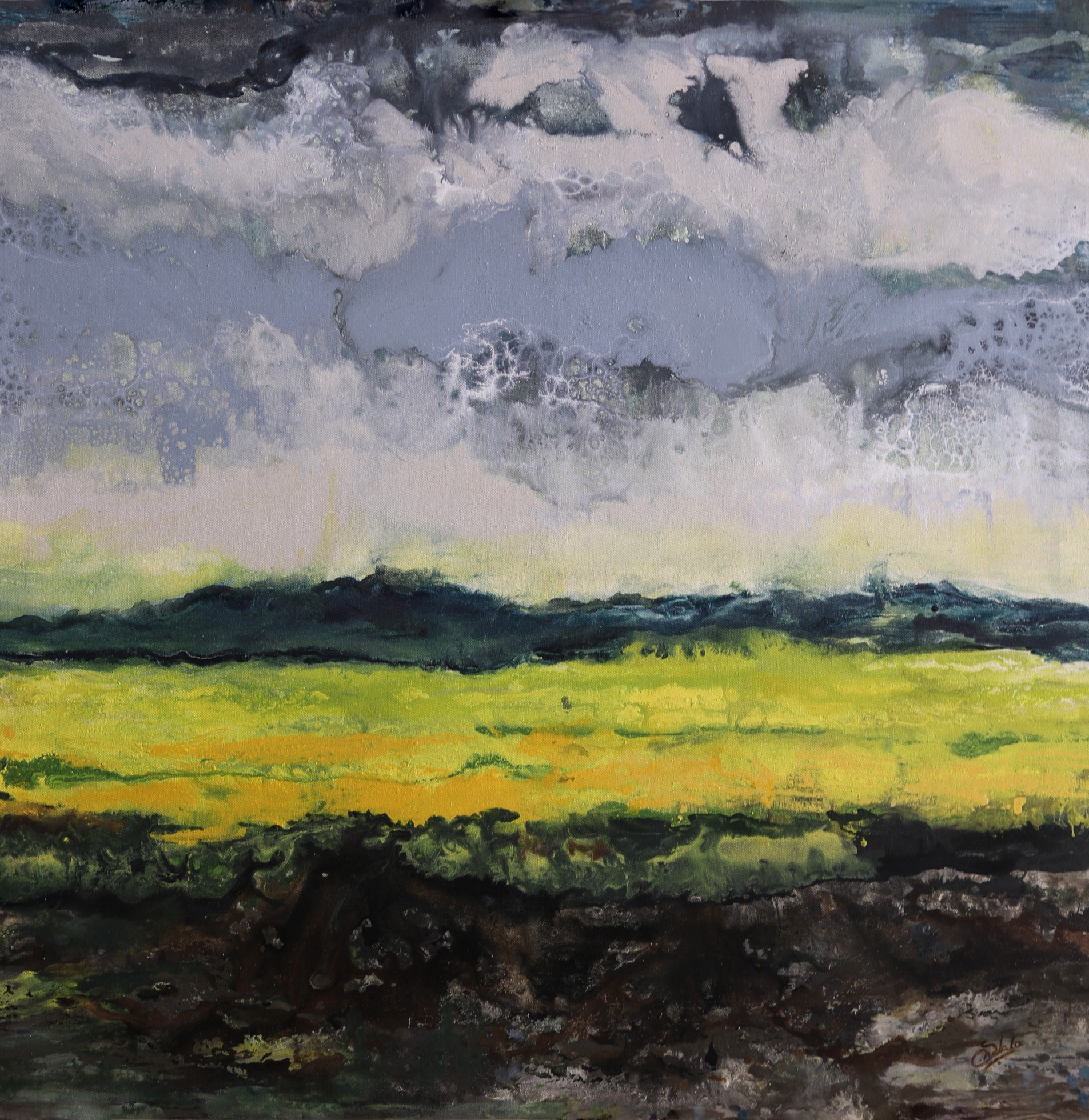 Mustard Fields  by Shehla Farooq