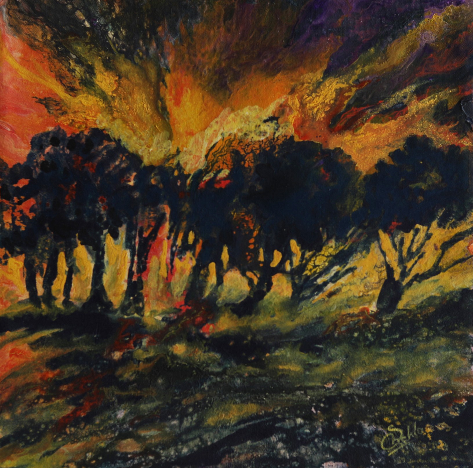 Oak Trees at Sunset by Shehla Farooq