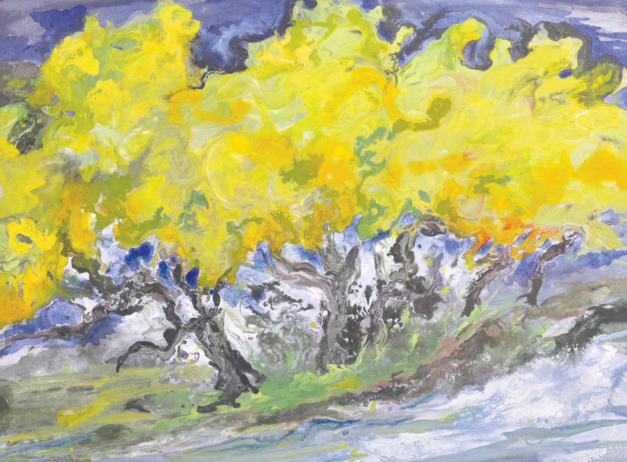 Olive Trees by Shehla Farooq