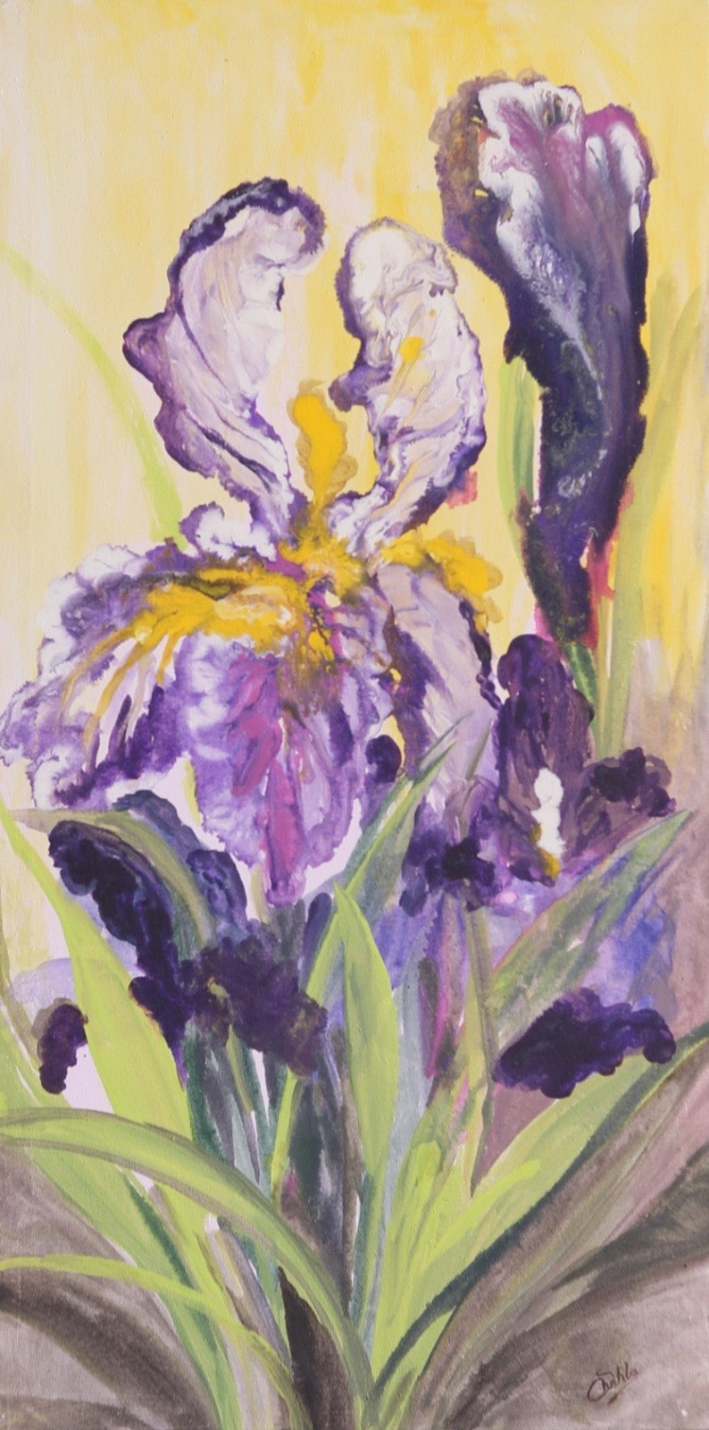 Iris - II by Shehla Farooq