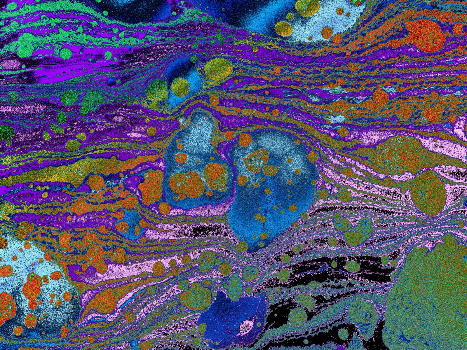 The Orchard by Greta