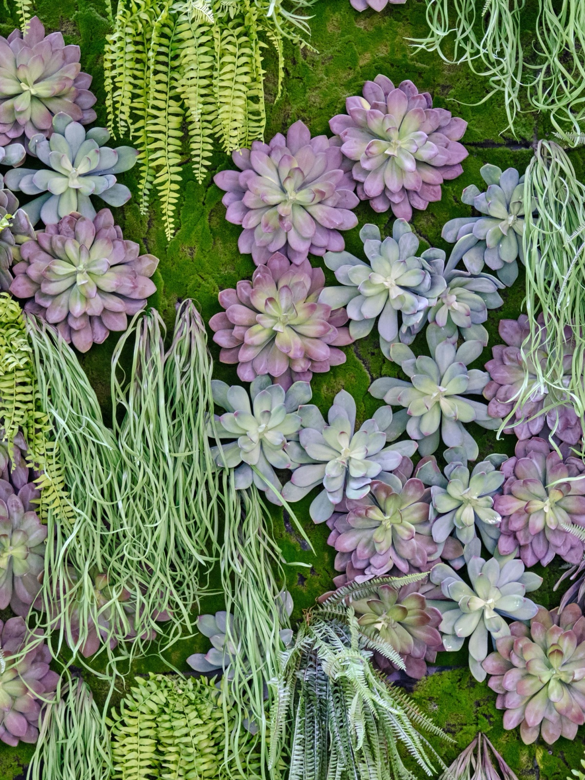 Portrait Study I by Omar