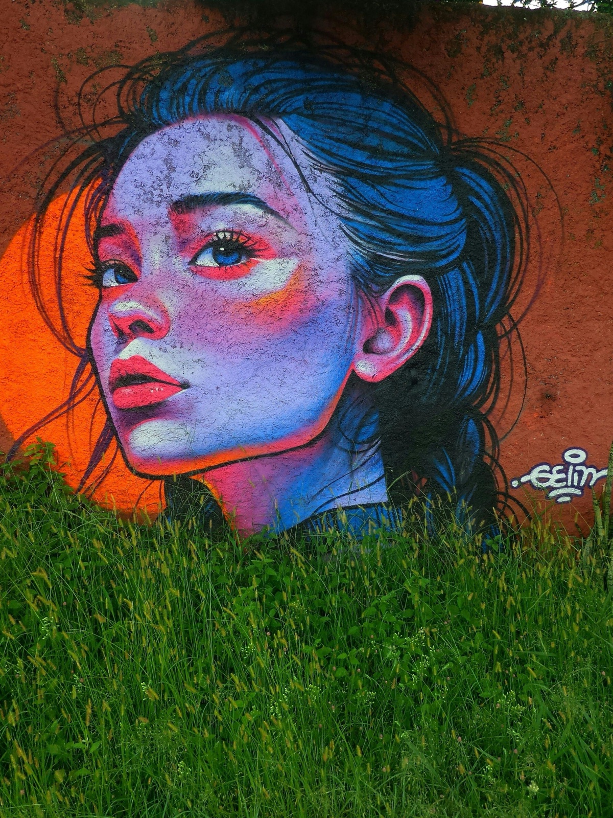 Profile in Ochre by Greta