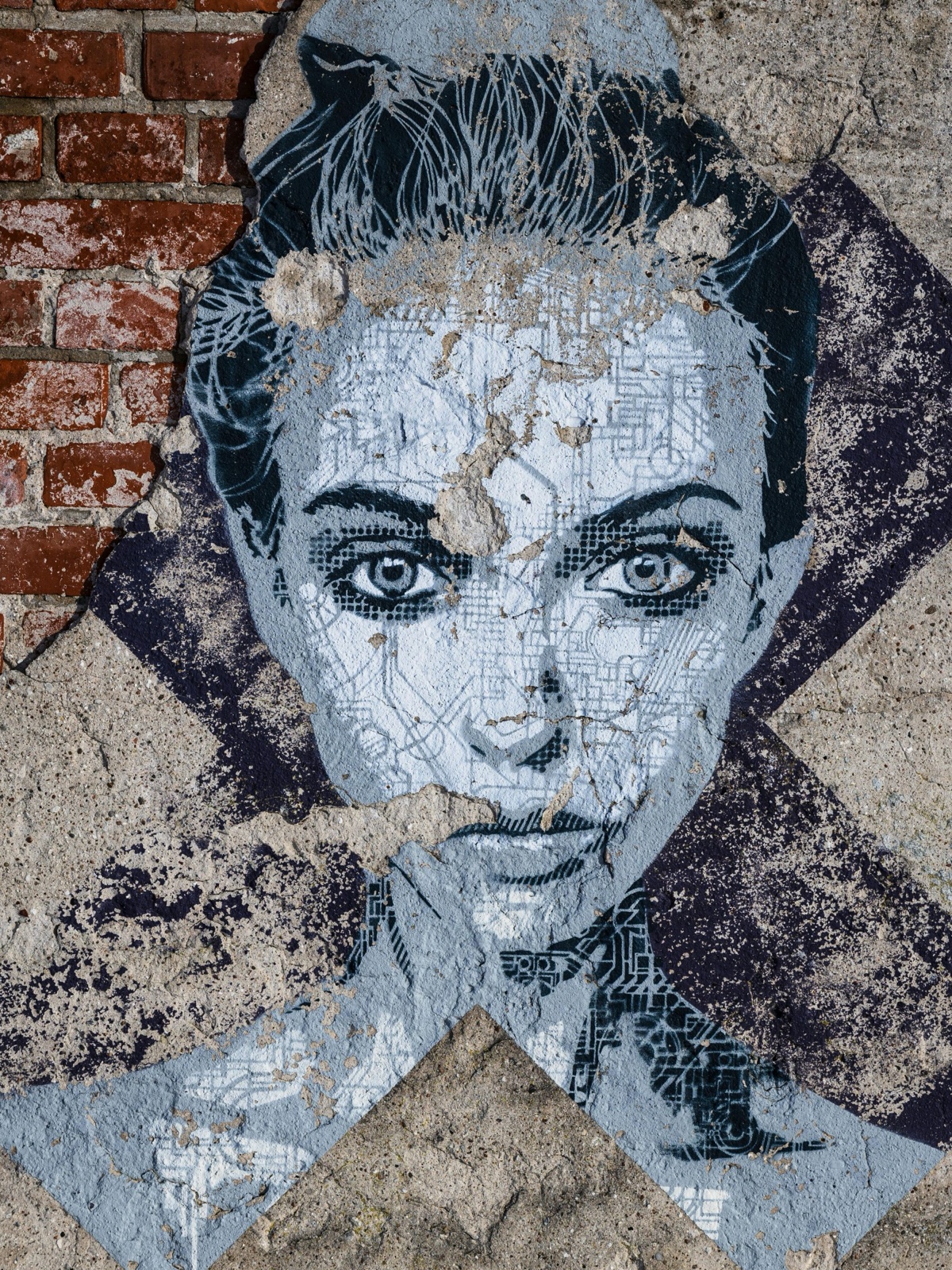 The Gardener by Sara